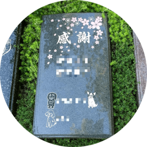 ペットと入れる樹木葬墓石彫刻 ワンチャン