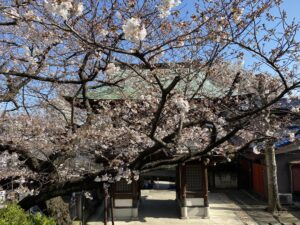 常照寺 樹木葬墓地 横浜令和の杜